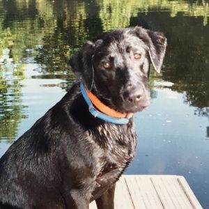 Meet your Posher, Karen